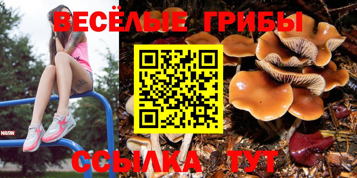 Мичуринск  Галлюциногенные грибы Magic Shrooms  хочу   Вход с VPN 